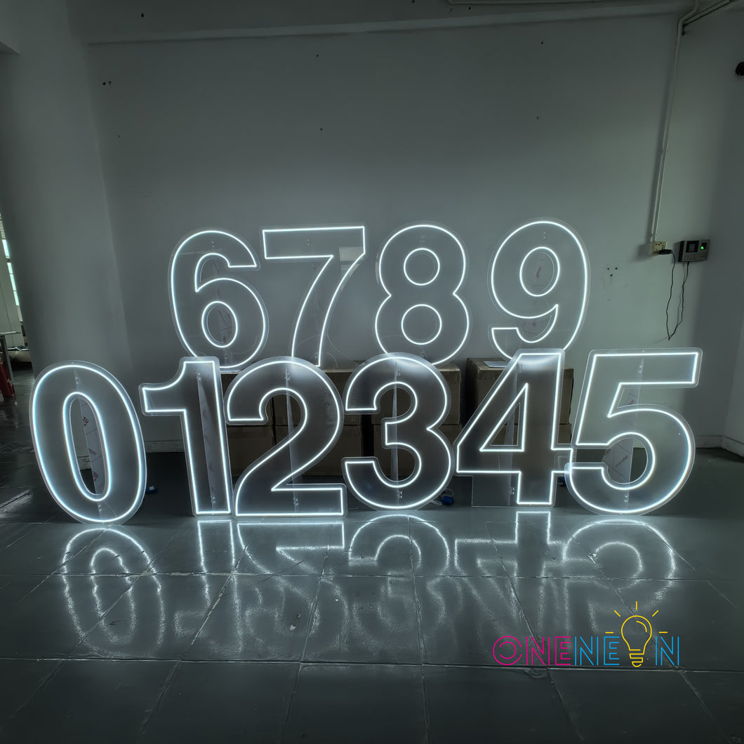 Free Standing 3ft Height Birthday Number Neon Sign