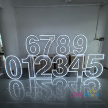 Load image into Gallery viewer, Free Standing 3ft Height Birthday Number Neon Sign
